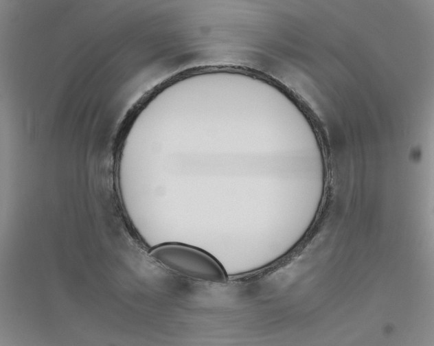 X0000116840781201001291703