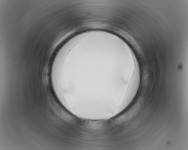 X0000116840782201001291703