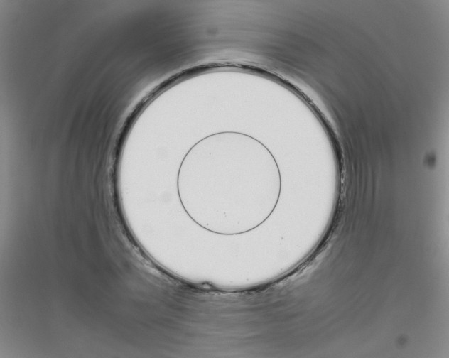 X0000116840783201001291703