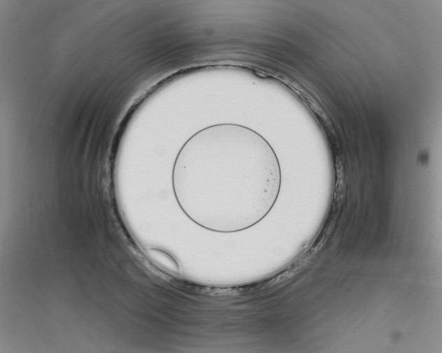 X0000116840784201001291703