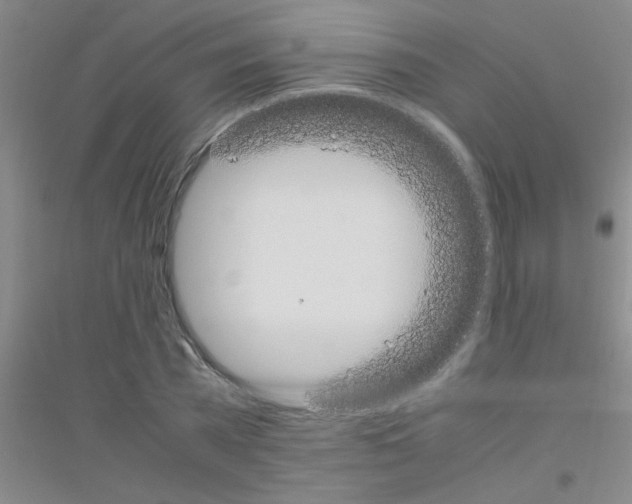 X0000116840785201001291703