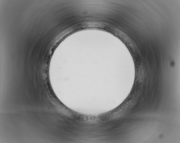 X0000116840786201001291703