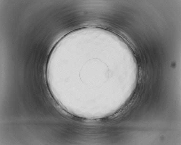 X0000116840788201001291703