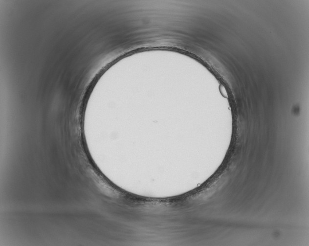X0000116840789201001291703