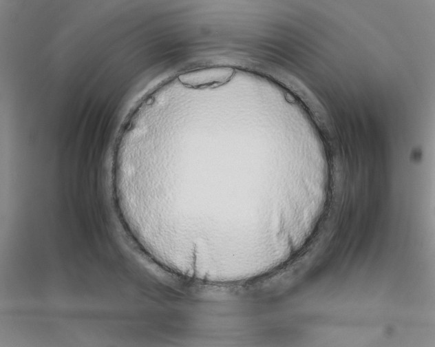 X0000116840790201001291703