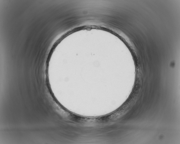 X0000116840791201001291703