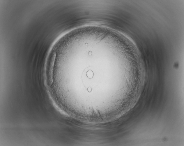 X0000116840792201001291703