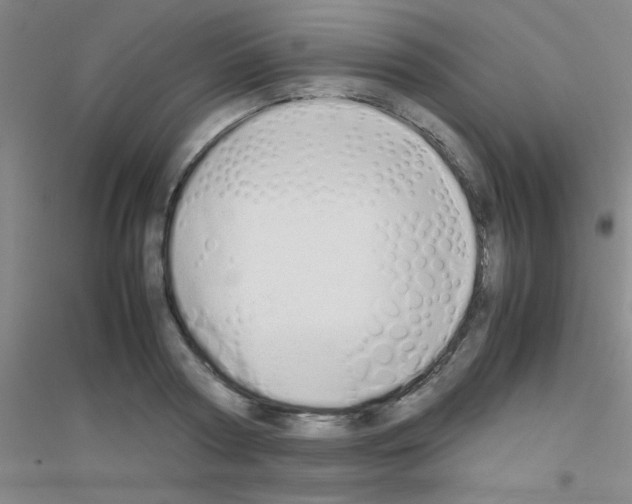 X0000116840794201001291703