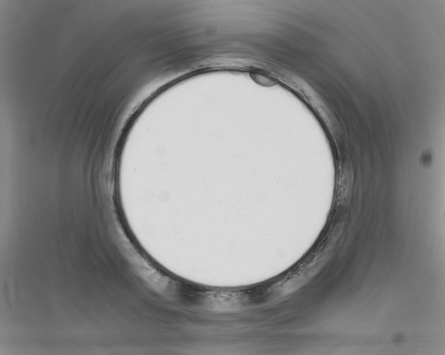 X0000116840795201001291703
