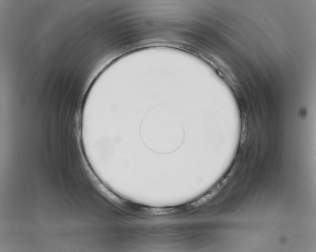 X0000116840796201001291703