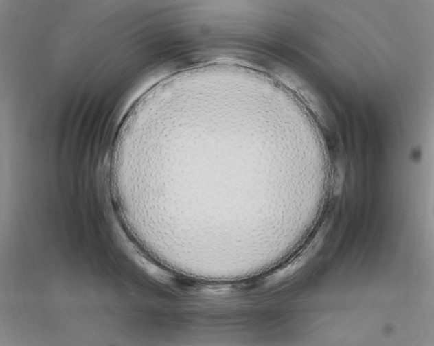 X0000116840798201001291703
