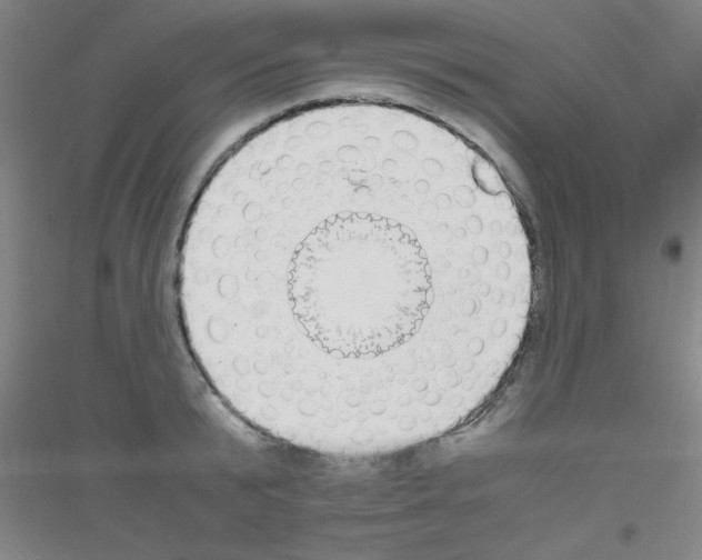 X0000116840799201001291703