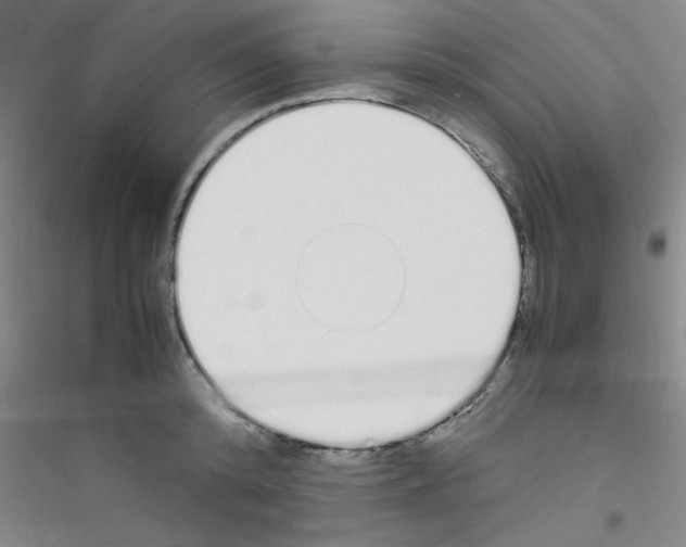 X0000116840800201001291703