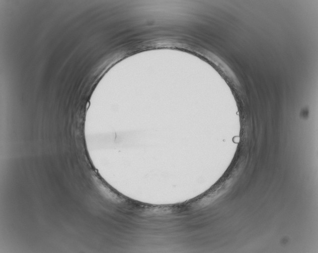 X0000116840801201001291703