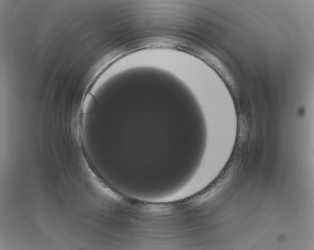 X0000116840802201001291703