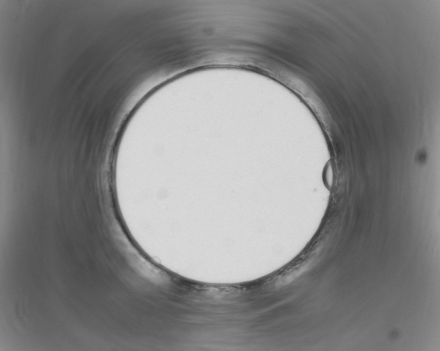 X0000116840803201001291703