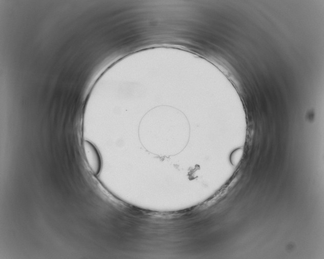 X0000116840804201001291703