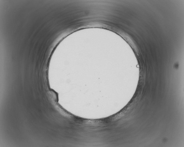 X0000116840805201001291703