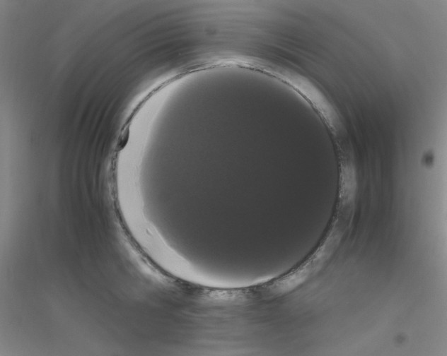 X0000116840806201001291703