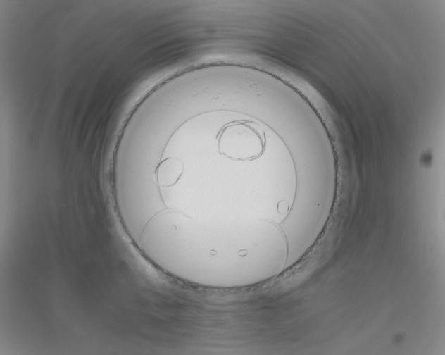 X0000116840807201001291703