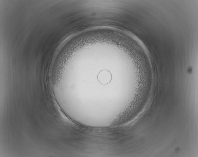 X0000116840809201001291703