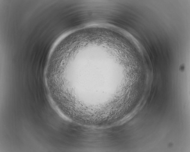 X0000116840812201001291703