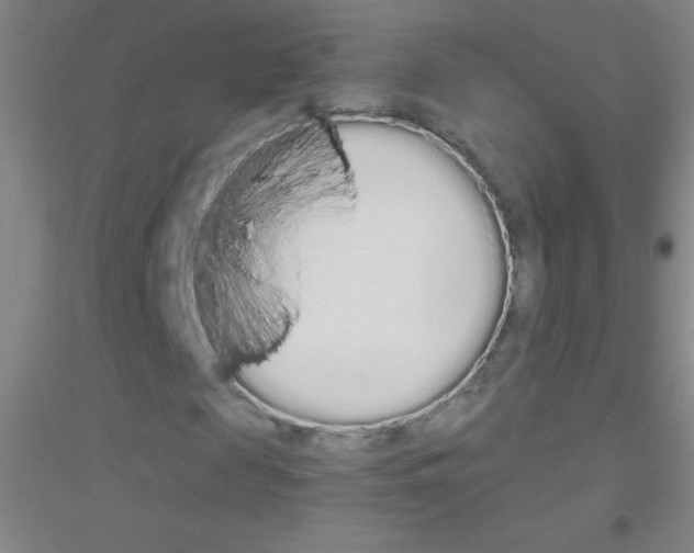 X0000116840817201001291702