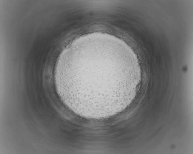 X0000116840818201001291702