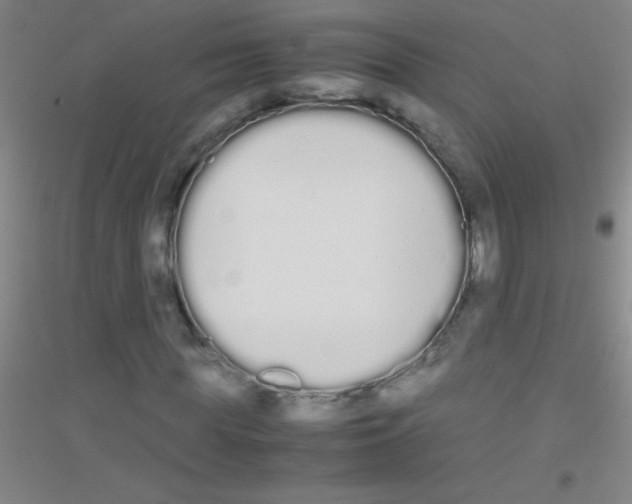 X0000116840819201001291702