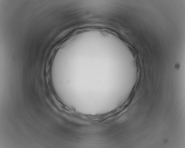X0000116840820201001291702