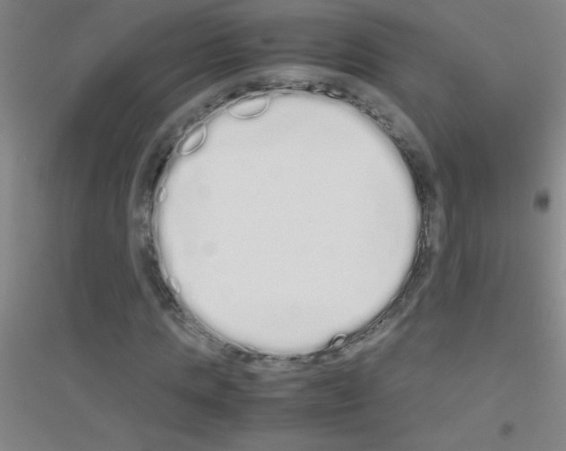 X0000116840821201001291702