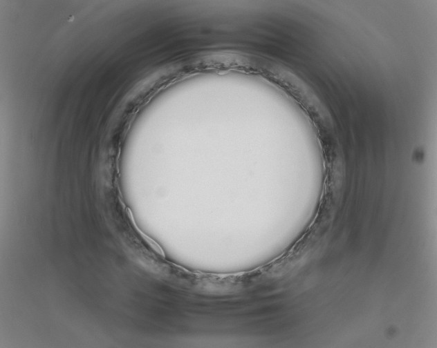 X0000116840823201001291702