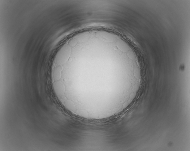 X0000116840824201001291702