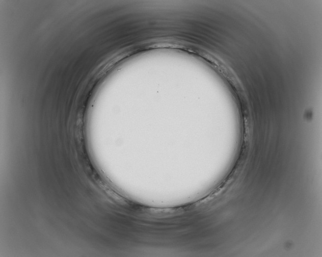 X0000116840825201001291702