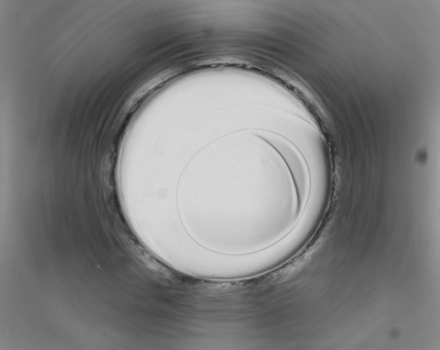 X0000116840826201001291702