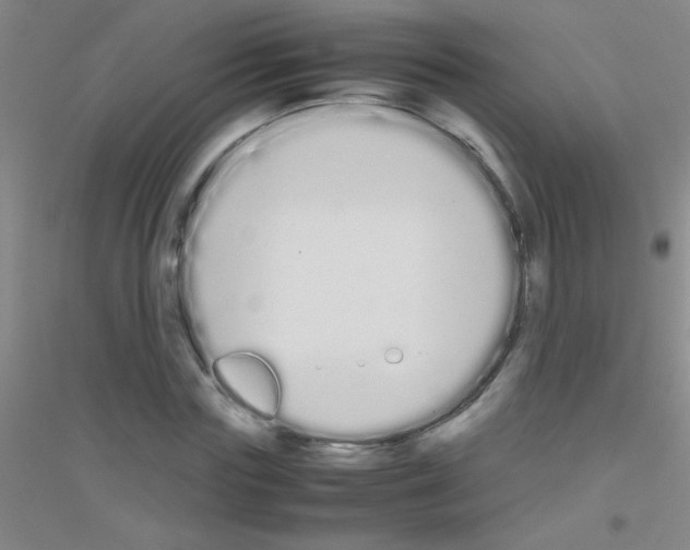 X0000116840827201001291702