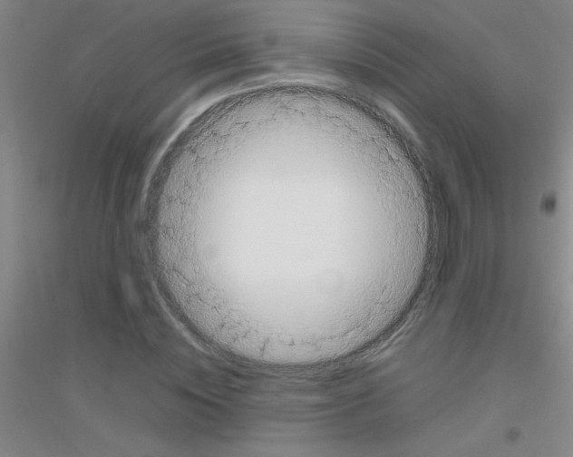X0000116840828201001291703