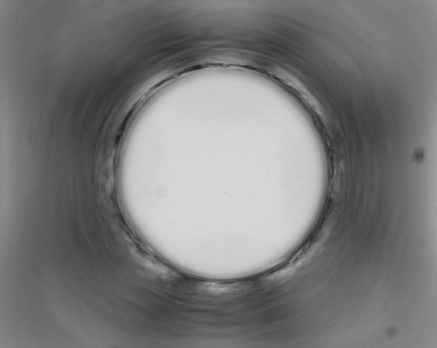 X0000116840829201001291703