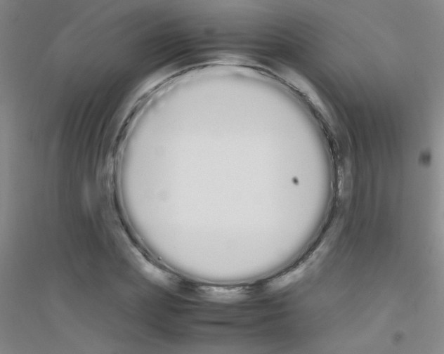 X0000116840831201001291703
