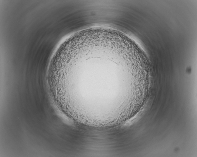 X0000116840832201001291703