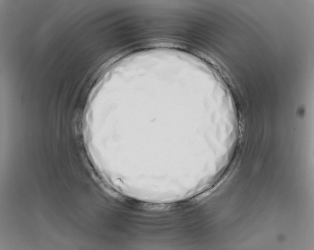 X0000116840833201001291703