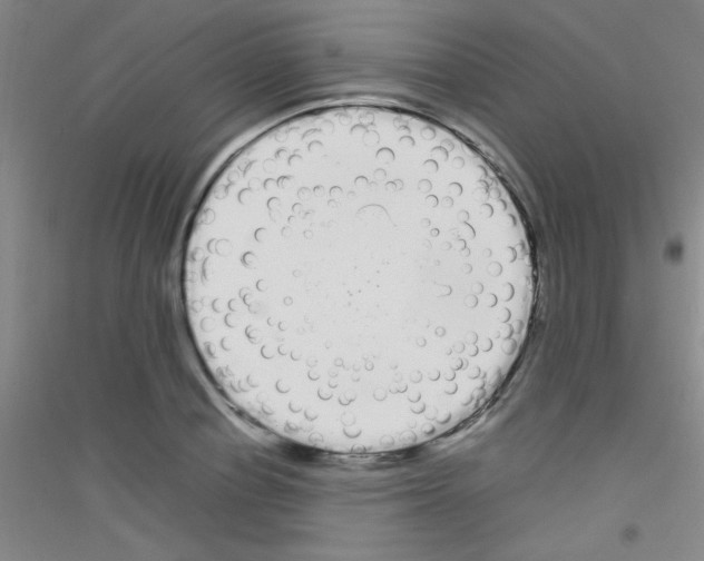 X0000116840834201001291703