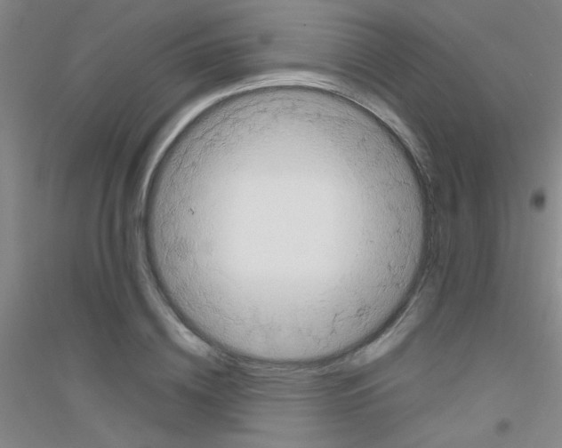 X0000116840836201001291703
