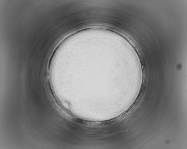 X0000116840837201001291703