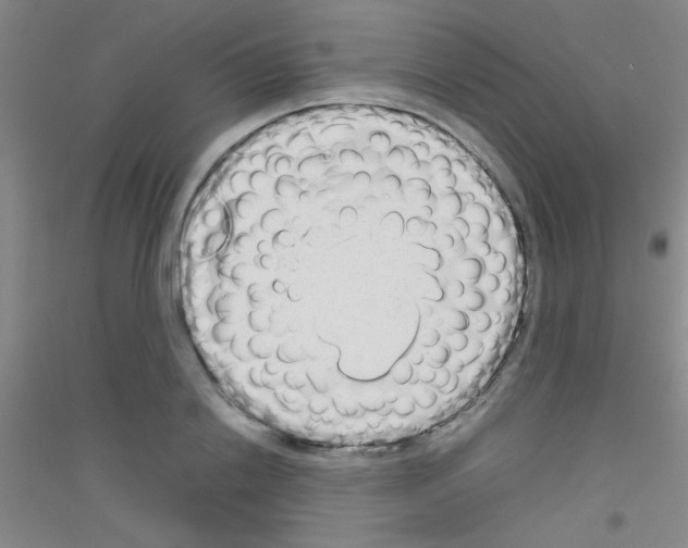 X0000116840838201001291703
