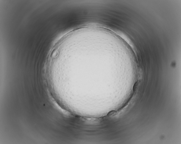 X0000116840839201001291703