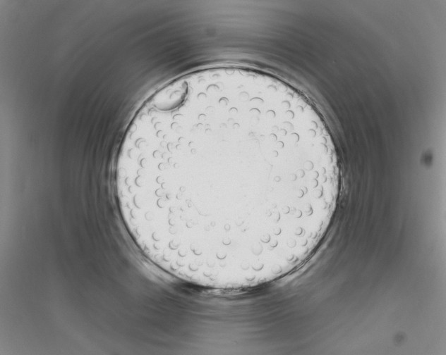 X0000116840842201001291703