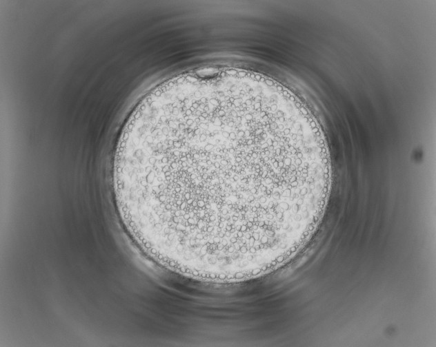 X0000116840843201001291703