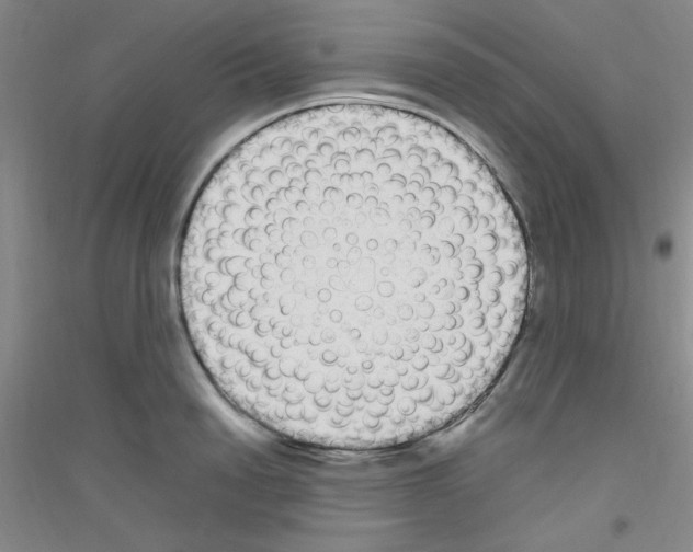 X0000116840846201001291703