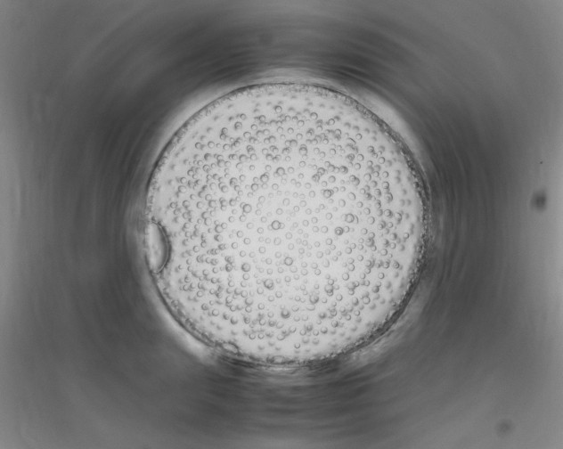X0000116840847201001291703